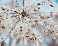 В предновогодние выходные в Мариуполе наступит мороз