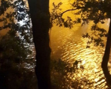 «Ливневый апокалипсис»: в Мариуполе снова повалены деревья, затоплены и обесточены улицы