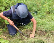 В Мариуполе обезвредили найденные гранаты