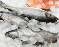 Продать нельзя выбросить: уловки, заставляющие мариупольцев покупать рыбу с «душком»