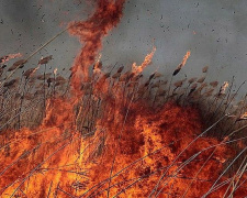 Чрезвычайный уровень пожарной опасности объявлен в Мариуполе