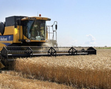 Донецкая область вошла в пятерку лидеров по урожайности ранних зерновых
