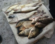 В Донецкой области за месяц браконьеры наловили рыбы на 12 тысяч гривен (ФОТО)