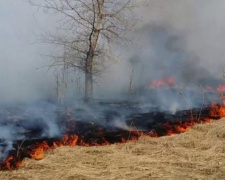 В Мариуполе возле АЗС загорелась сухая трава (ВИДЕО)