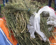 У жителя Донетчины обнаружили наркотики на полмиллиона гривен (ФОТОФАКТ)