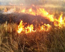 Штрафы за сжигание сухой травы увеличили в 18 раз. Сколько придется заплатить мариупольцам?