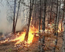 На Донетчине в масштабном пожаре выгорело более 12 гектаров территории