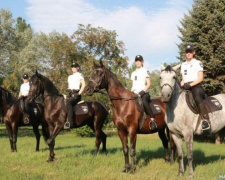 Как в Мариуполе с нуля создавали конную полицию: курс обучения длился 10 дней (ФОТО)
