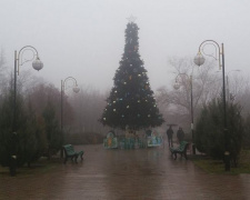 Жители Приморского района Мариуполя уже могут полюбоваться новогодней елкой (ФОТОФАКТ)