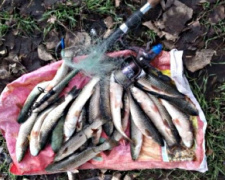 В Мариуполе браконьеры наловили рыбы почти на 29 тысяч гривен