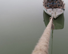 Исчез из лодки раненый баклан Карбоня, живший в море у Мариуполя (ФОТОФАКТ)