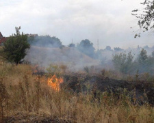 В Мариуполе горит поле рядом с АЗС (ФОТОФАКТ)
