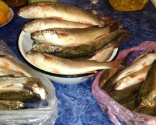 Рыбаки Мариуполя хвастаются уловом (ФОТО)