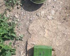 На дороге "Мариуполь-Сартана" обнаружена мина российского происхождения (ФОТО)