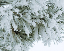 Кутья под корочкой льда: в Мариуполе ожидается снежный Сочельник с морозом до -11°C