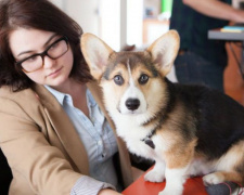 С собакой на работу: Мариупольцев приглашают провести трудовой день с любимцами (ФОТО)