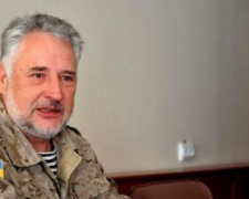 Жебривский покидает должность главы Донецкой ОВГА?