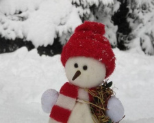 Интернет-парад снеговиков руками мариупольцев: Солоха, покемон, свинья и другие чудеса (ФОТО)