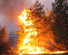 Горит 950 гектаров: причиной масштабных пожаров в Донбассе стал поджог