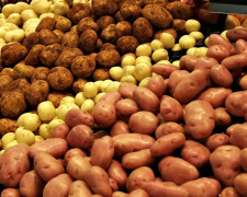В Україні дешевшає картопля – що буде з цінами надалі