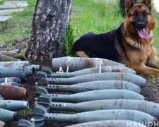 Вблизи Мариуполя на заброшенной базе отдыха нашли несколько десятков боеприпасов (ФОТО)
