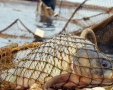 Незаконная рыбалка обошлась мариупольским браконьерам более чем в 350 тысяч гривен