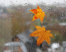 В Україну йдуть дощі: в яких регіонах чекати на опади 4-5 листопада