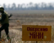 В Украине вступил в силу закон о разминировании Донбасса