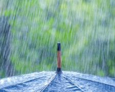 Мариупольцев ждет дождливая и пасмурная неделя