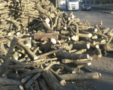 В Мариуполе перевернулся грузовик с дровами