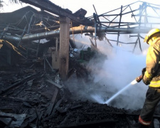 В Мариуполе сгорел деревообрабатывающий цех (ФОТО)