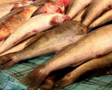 Полиция изъяла у стихийных торговцев более 100 кг незаконно выловленной рыбы