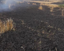 Огонь охватил «хлебное» поле площадью 27 га около Мариуполя (ФОТО)