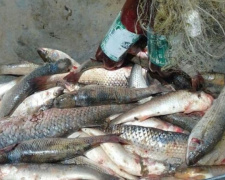Мариупольские браконьеры на реке Кальмиус нанесли ущерб в размере более 30 тыс. грн (ФОТО)