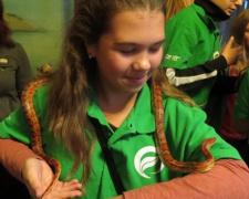 Во время экскурсии по Львову по школьницам из Мариуполя ползали змеи (ФОТО)