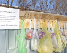Возле мусорных контейнеров в Мариуполе хотят установить стенды с едой для бездомных