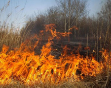 На Донетчине объявили чрезвычайную пожарную опасность