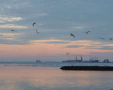 В Мариуполе запустят дополнительный транспорт к морю