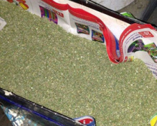 У мариупольца изъяли 3 килограмма наркотика собственного производства (ФОТО)