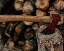 На «черного лесоруба» под Мариуполем упало дерево: его товарища будут судить за преступную халатность