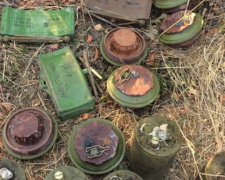 Полицейские Донецкой области обнаружили крупный схрон боеприпасов (ФОТО)