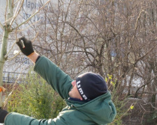 Центральную площадь Мариуполя украсили более 4000 новых растений