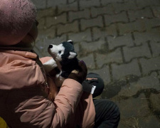 Жили в окупації та не бачили батьків - Україна повернула додому ще трьох дітей