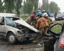 Под Мариуполем в лобовом столкновении машин погибли два человека (ФОТО)