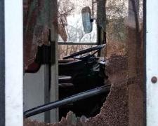 Разбил дверь троллейбуса и ударил полицейского: в Мариуполе задержали агрессивного пассажира (ФОТО)