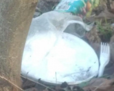 Мариупольцы заваливают мусором парки и места массового отдыха (ФОТОФАКТ)