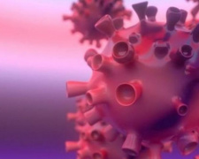 На Донетчине - более 800 новых случаев заражения коронавирусом за двое суток. Умерли еще 11 человек