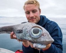 Рыбак поймал "глазастого динозавра" (ФОТО)