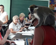 Под Мариуполем избиратель пришел голосовать с обезьяной (ФОТО)