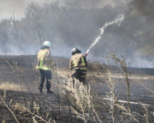 Сильный ветер в Приазовье мог привести к быстрому распространению пожара (ФОТО)